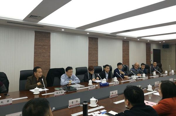 集团常务副总裁夏萍向大冶市领导介绍中亚项目发展规划