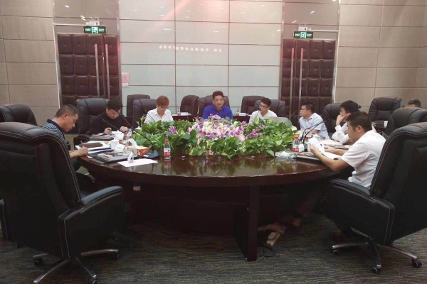 集团常务副总裁夏萍与大冶市领导进行合作事项沟通