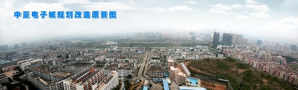 深圳市政协副主席廖军文先生考察壆岗中亚博览中心项目(图18)