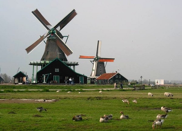 黄炳煌董事长参观考察荷兰风力发电设施(图5)