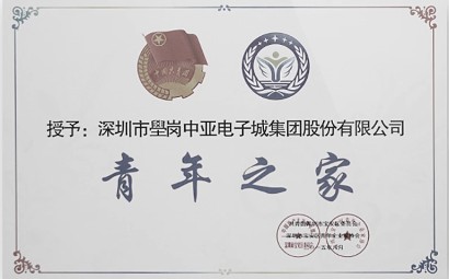 中亚集团_深圳市宝安区沙井中亚电子城集团被授予“青年之家”称号(图1)